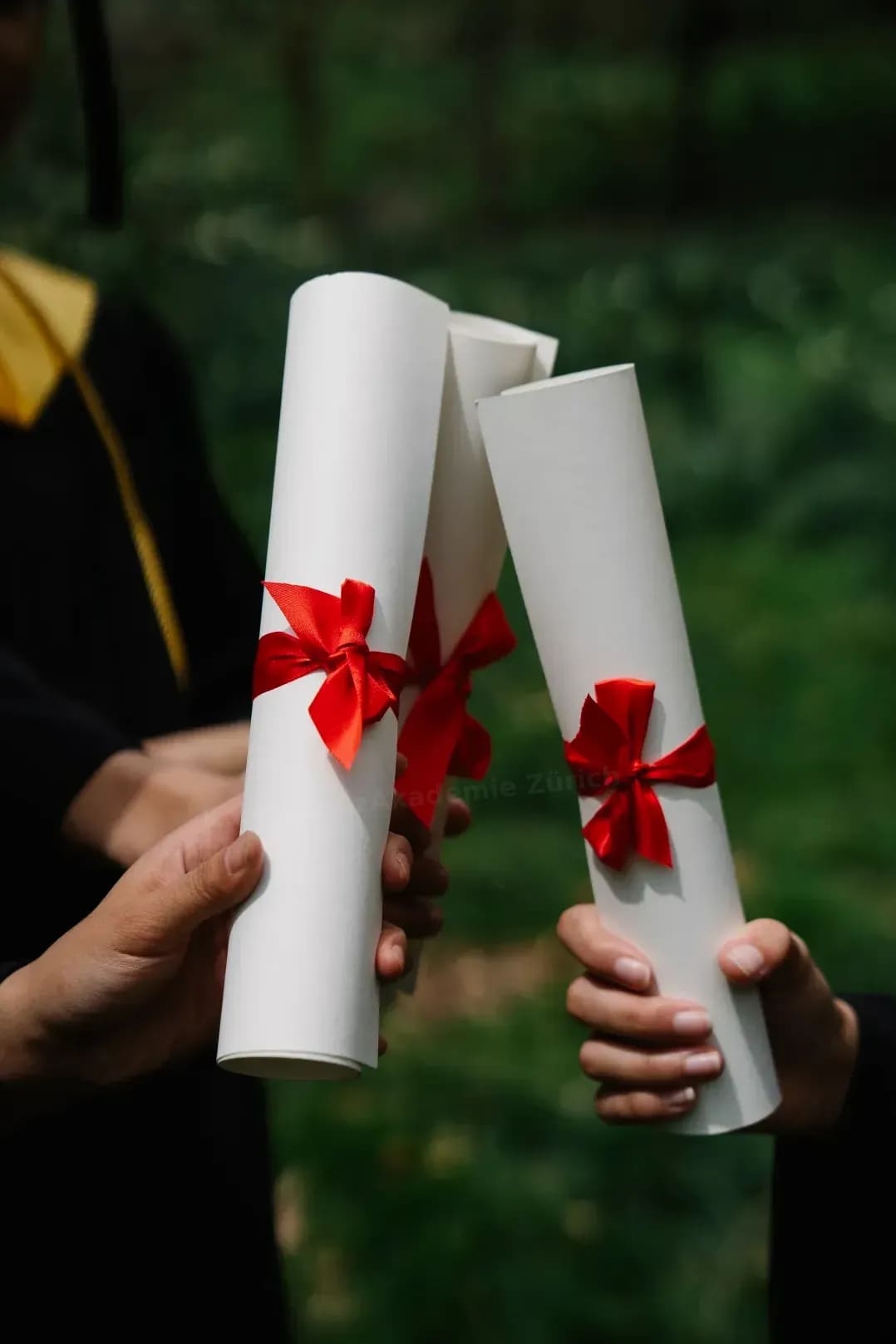 Leadership-Coaching und Teamentwicklung